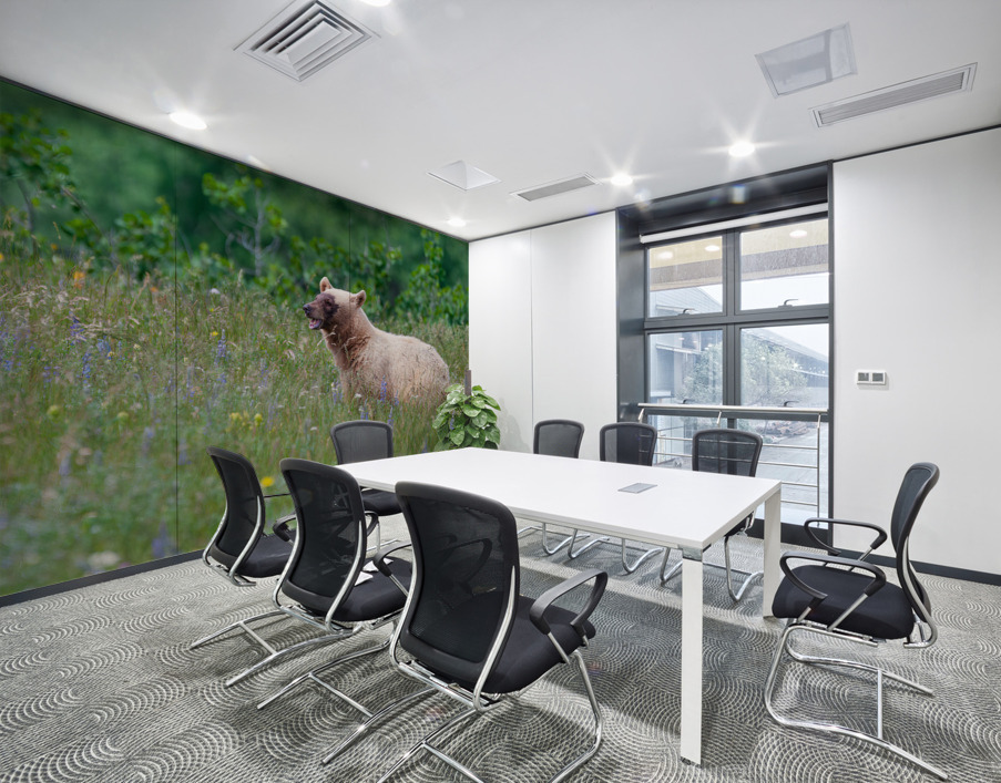 Black Bear Wall Printing