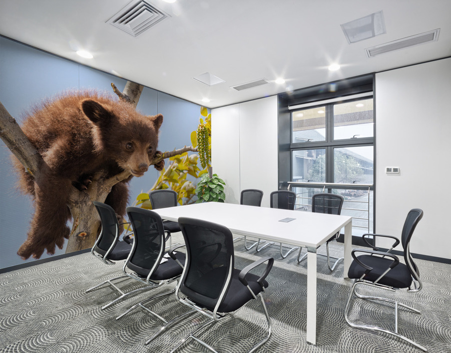 Black Bear Cub Wall Printing