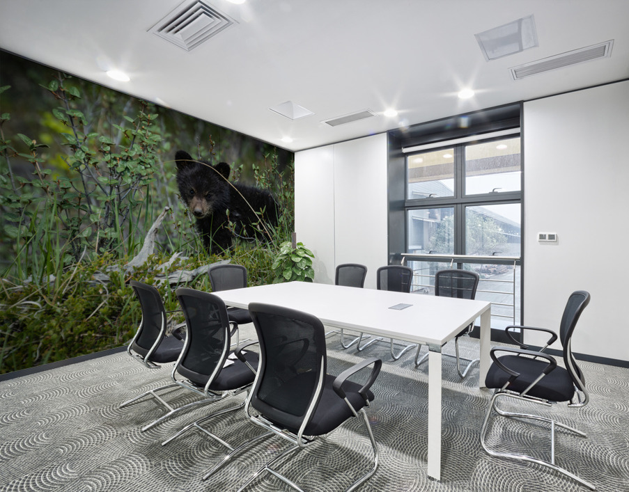 Black Bear Cub Wall Printing