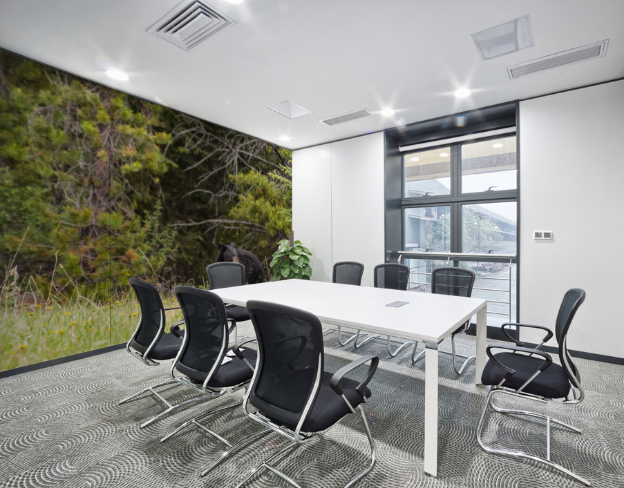 Black Bear Wall Printing