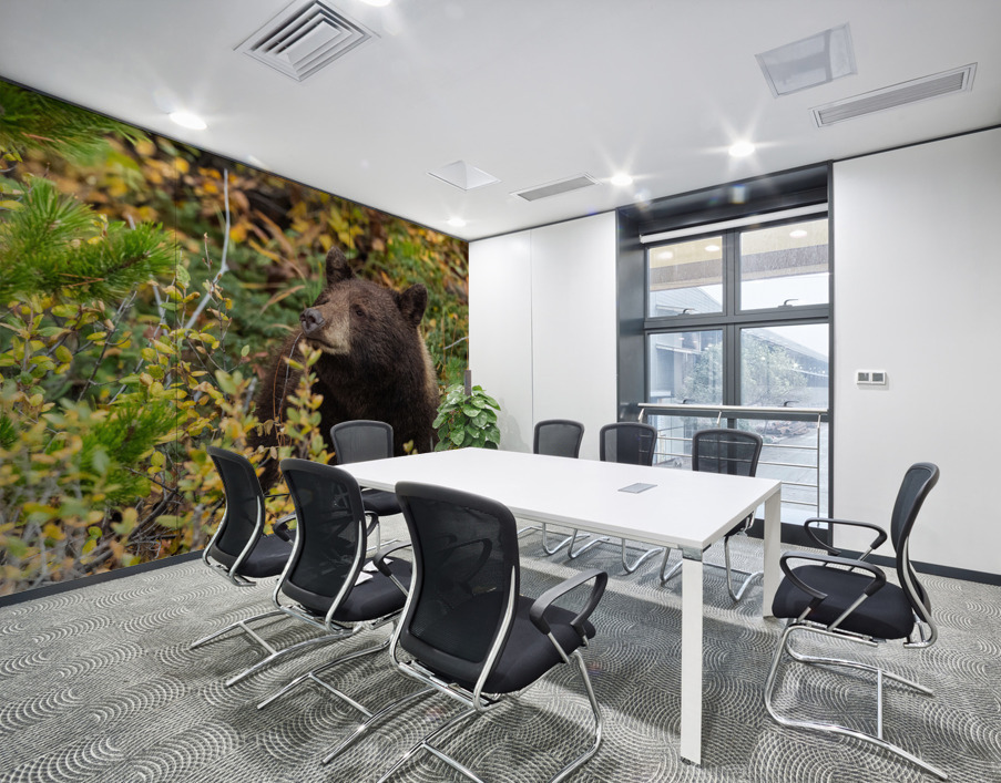 Black Bear Wall Printing