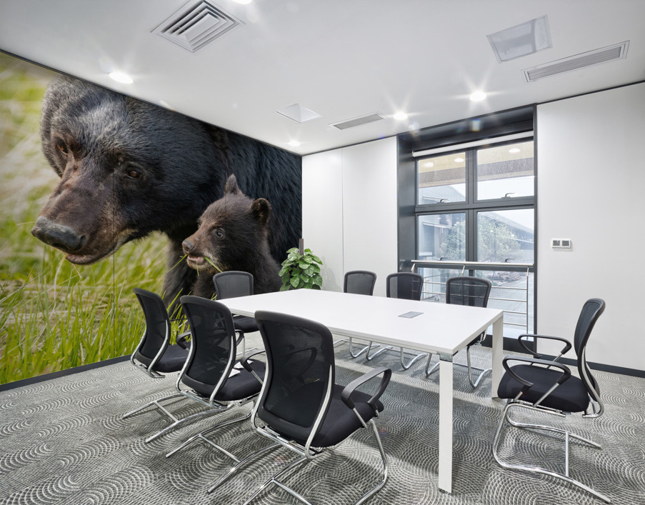 Black Bear Sow with Cub Wall Printing