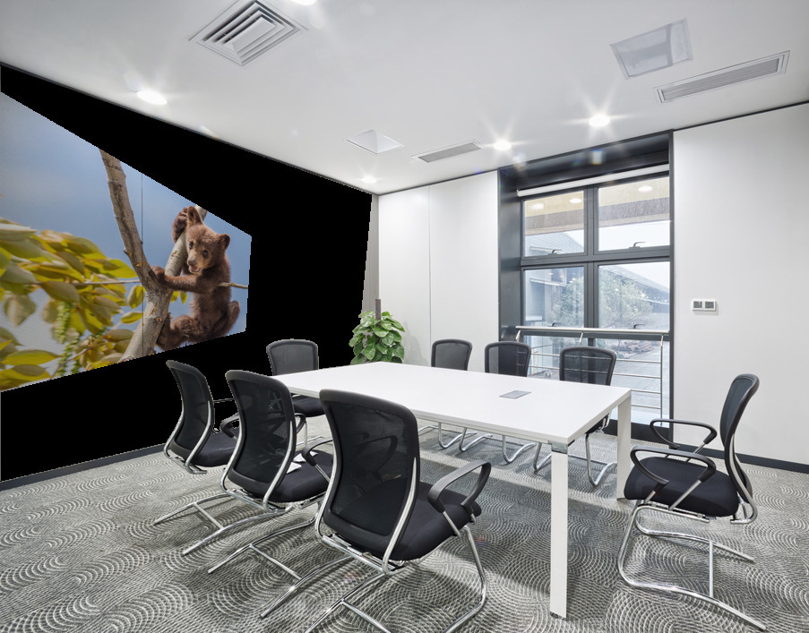 Black Bear Cub Wall Printing