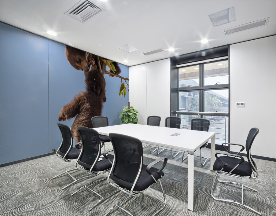 Black Bear Cubs Wall Printing