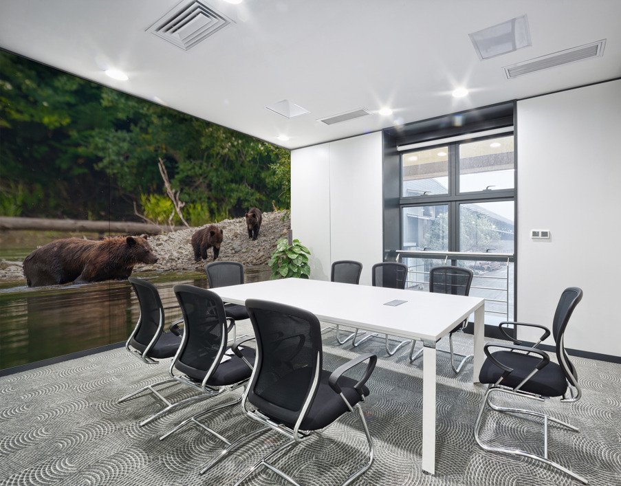 Grizzly Sow with Cubs Wall Printing