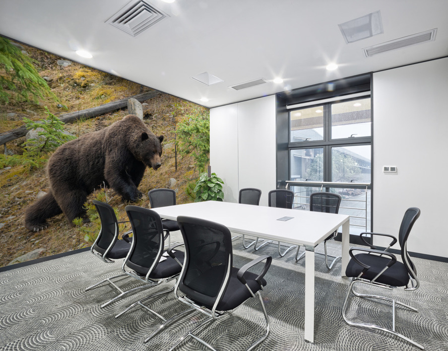 Grizzly Boar Wall Printing