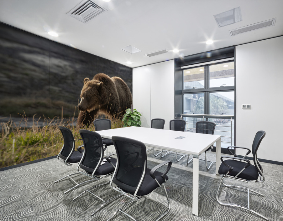 Grizzly Sow Wall Printing