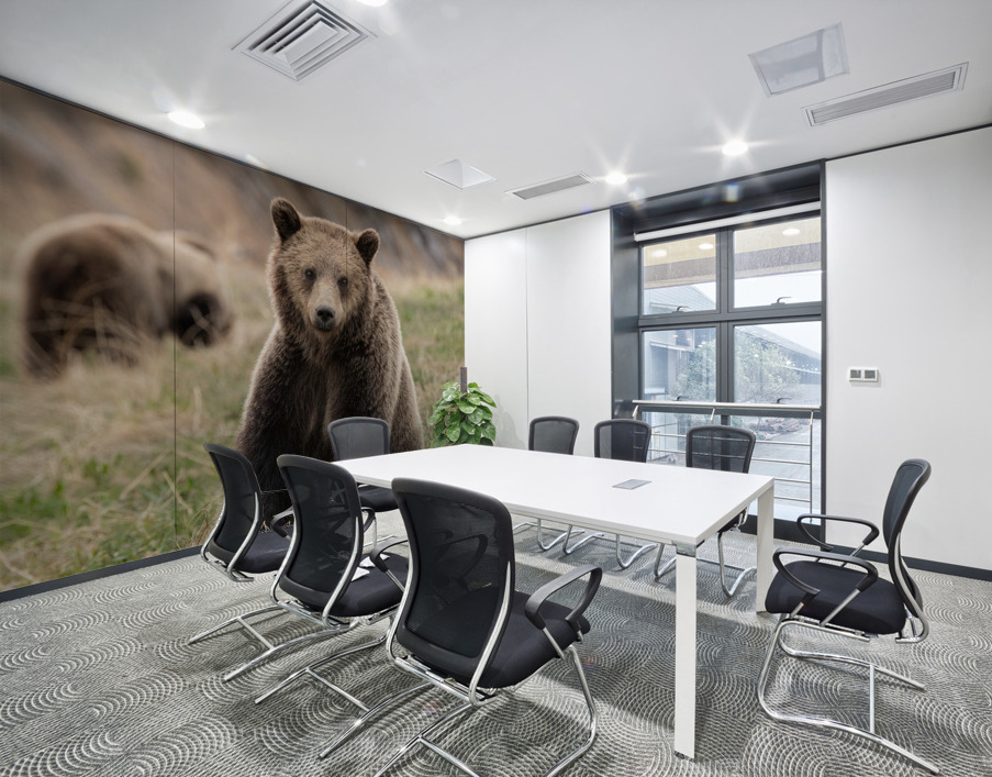 Grizzly Siblings Wall Printing