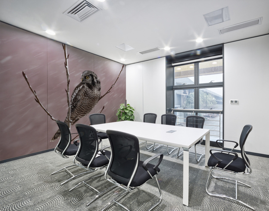 Northern Hawk Owl Wall Printing