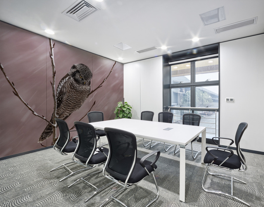 Northern Hawk Owl Wall Printing