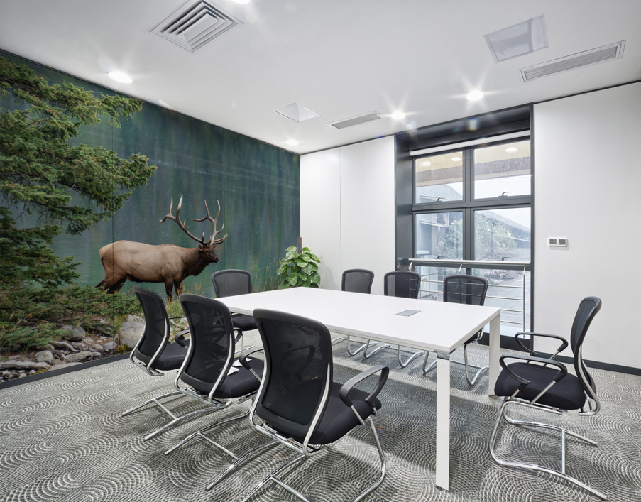 Bull Elk Wall Printing