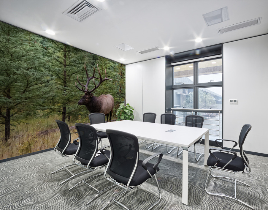 Bull Elk Wall Printing
