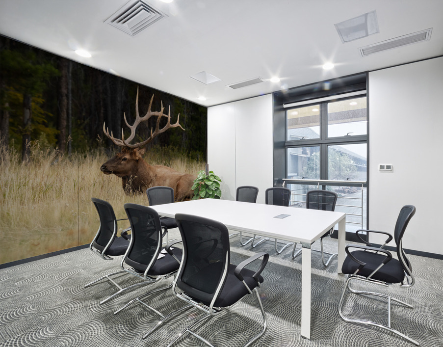 Bull Elk Wall Printing