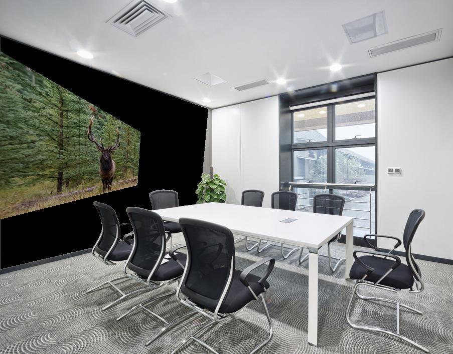 Bull Elk Wall Printing