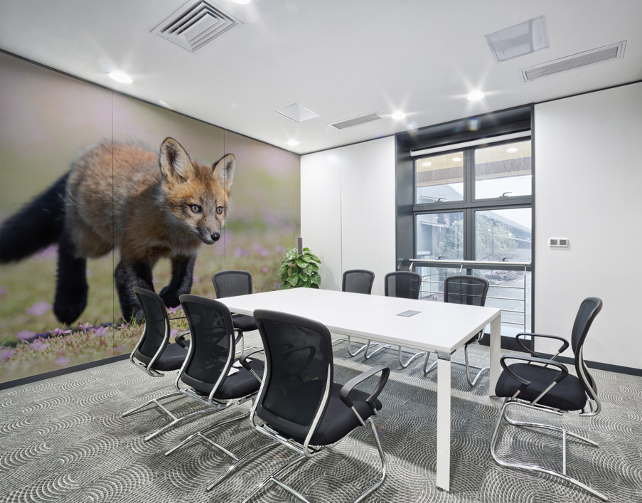 Red Fox Kit Wall Printing