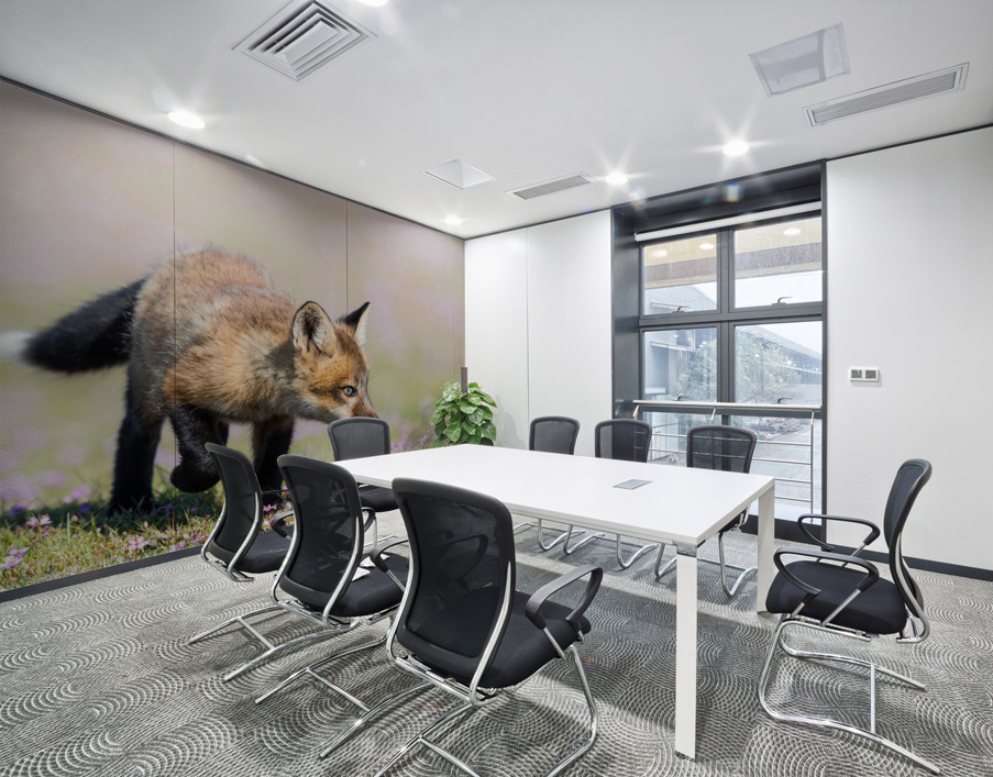 Red Fox Kit Wall Printing