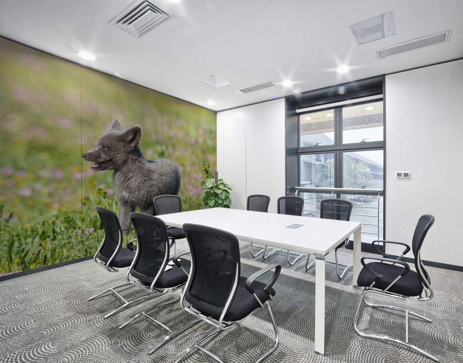 Red Fox Kit Wall Printing