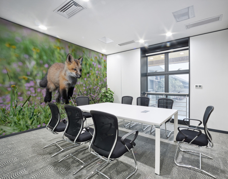 Red Fox Kit Wall Printing