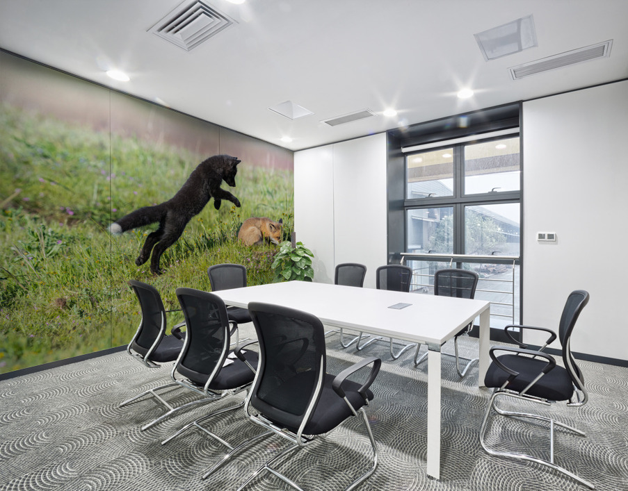 Red Fox Kits Wall Printing