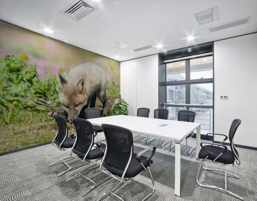 Red Fox Kit Wall Printing