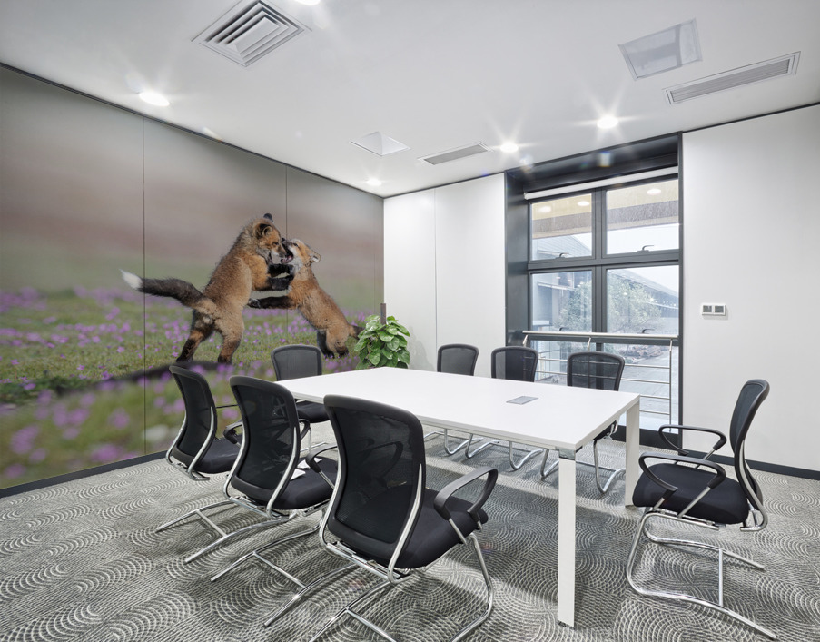 Red Fox Kits Wall Printing