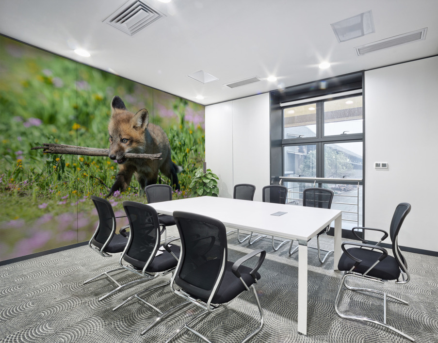 Red Fox Kit Wall Printing