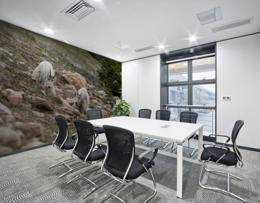 Mountain Goats Wall Printing