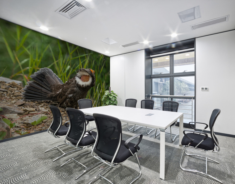 Male Sooty Grouse Wall Printing