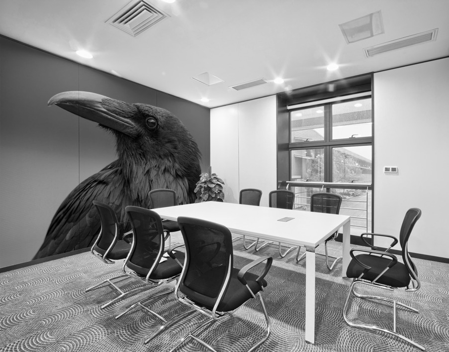 Raven Wall Printing