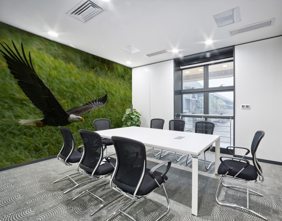 Bald Eagle Wall Printing