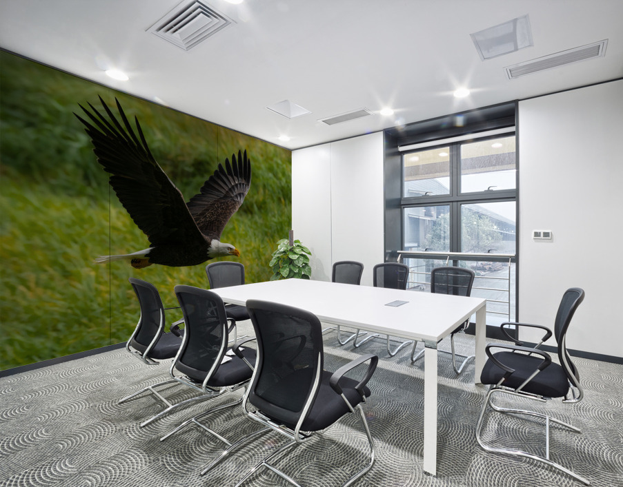 Bald Eagle Wall Printing