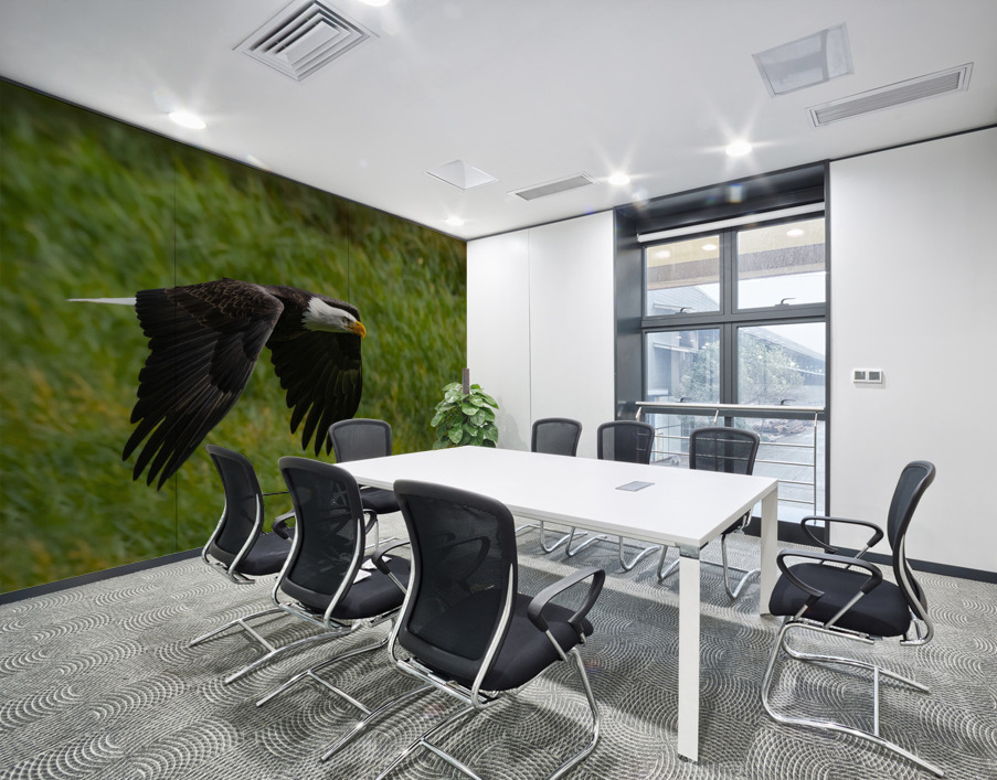 Bald Eagle Wall Printing