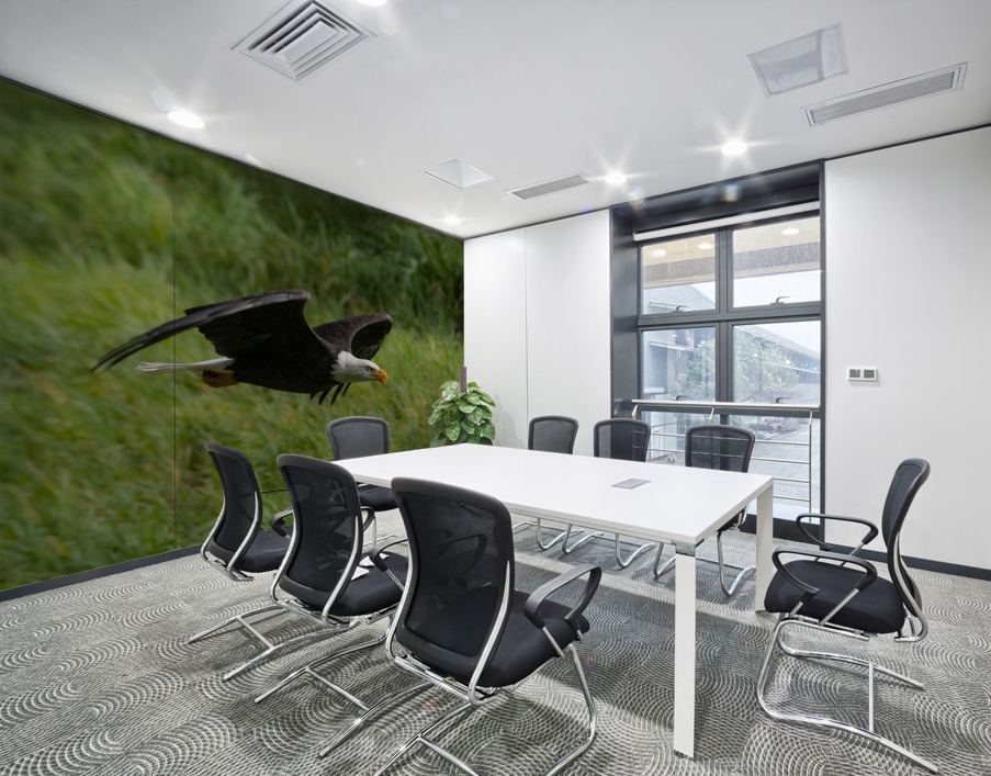 Bald Eagle Wall Printing