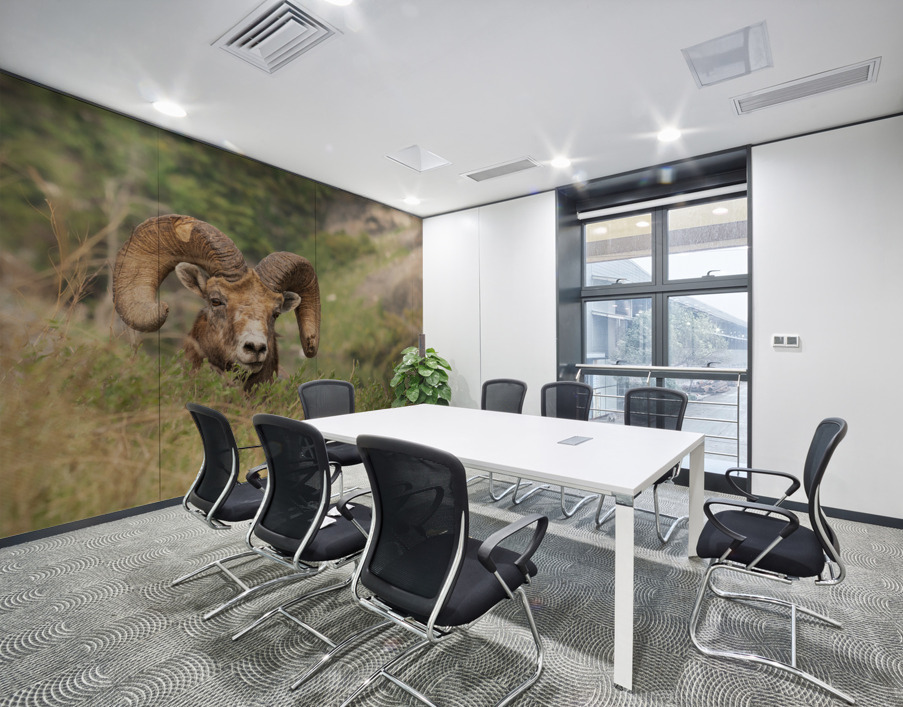 Bighorn Ram Wall Printing