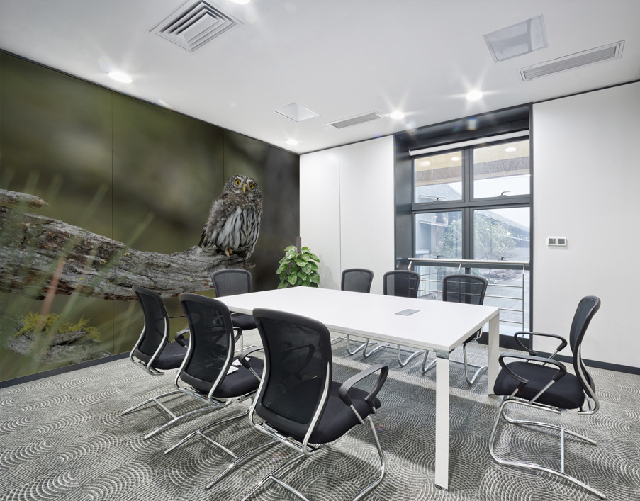 Northern Pygmy Owl Wall Printing