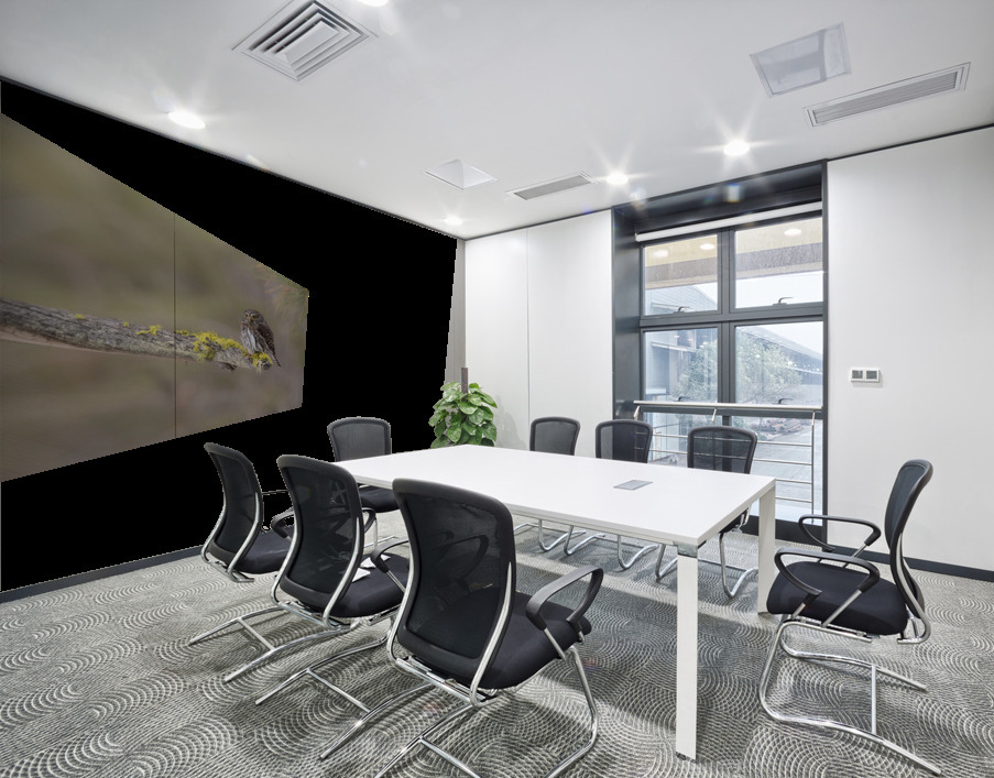 Northern Pygmy Owl Wall Printing