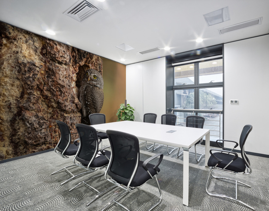 Northern Pygmy Owl Wall Printing