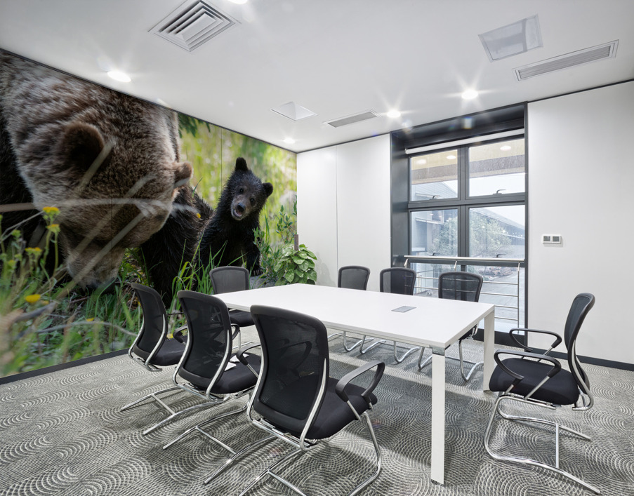 Grizzly Cub Wall Printing