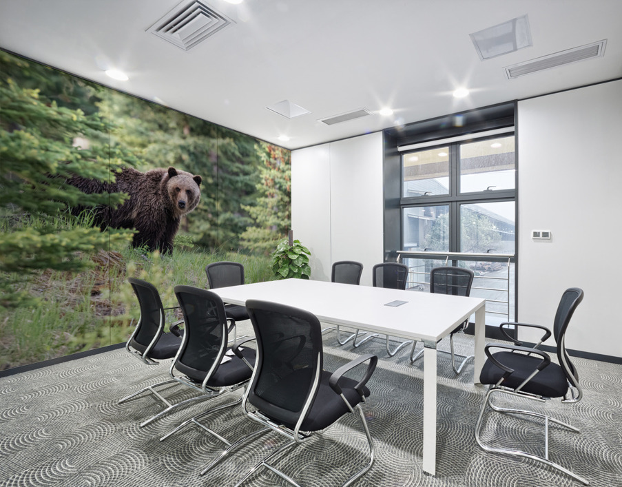 Grizzly Bear Wall Printing