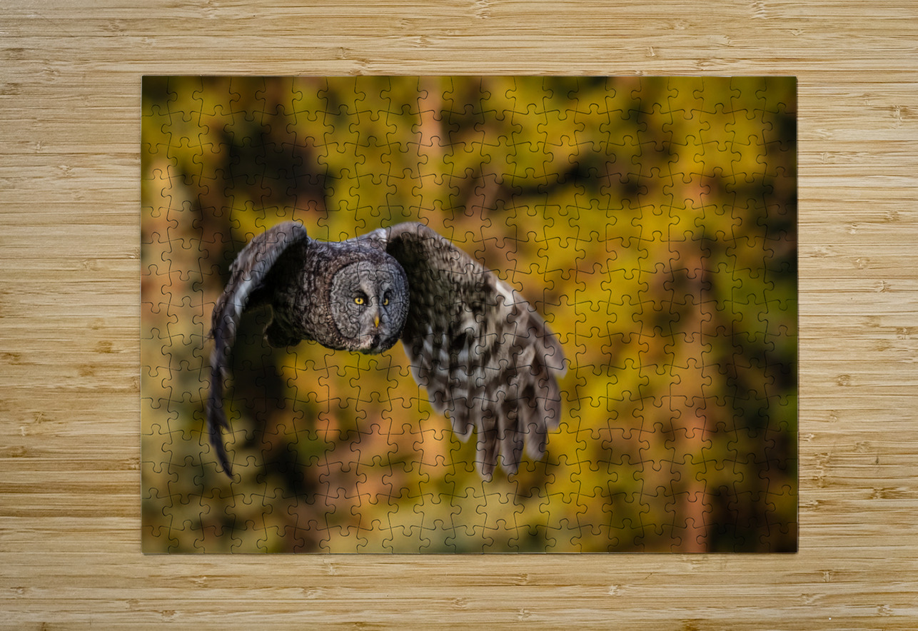 Great Gray Owl Randy Tremblay Photography Puzzle printing