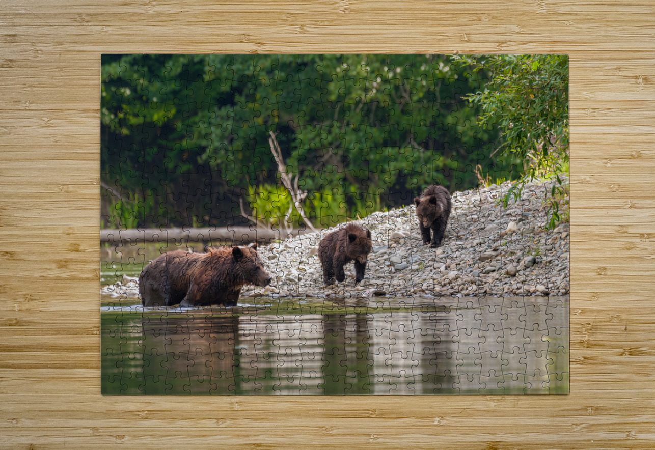 Grizzly Sow with Cubs Randy Tremblay Photography Puzzle printing