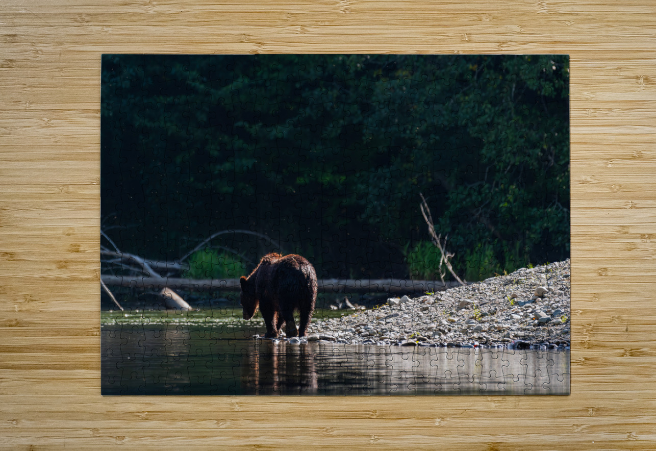 Grizzly Sow Randy Tremblay Photography Puzzle printing