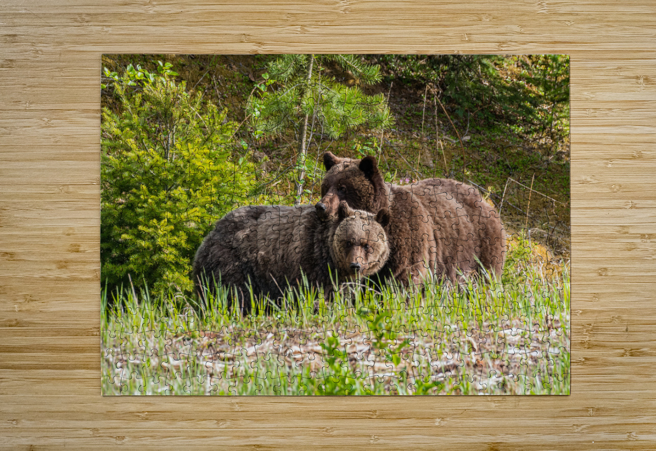 Grizzly Sow with Cub Randy Tremblay Photography Puzzle printing