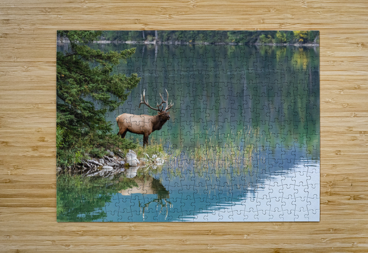 Bull Elk Randy Tremblay Photography Puzzle printing