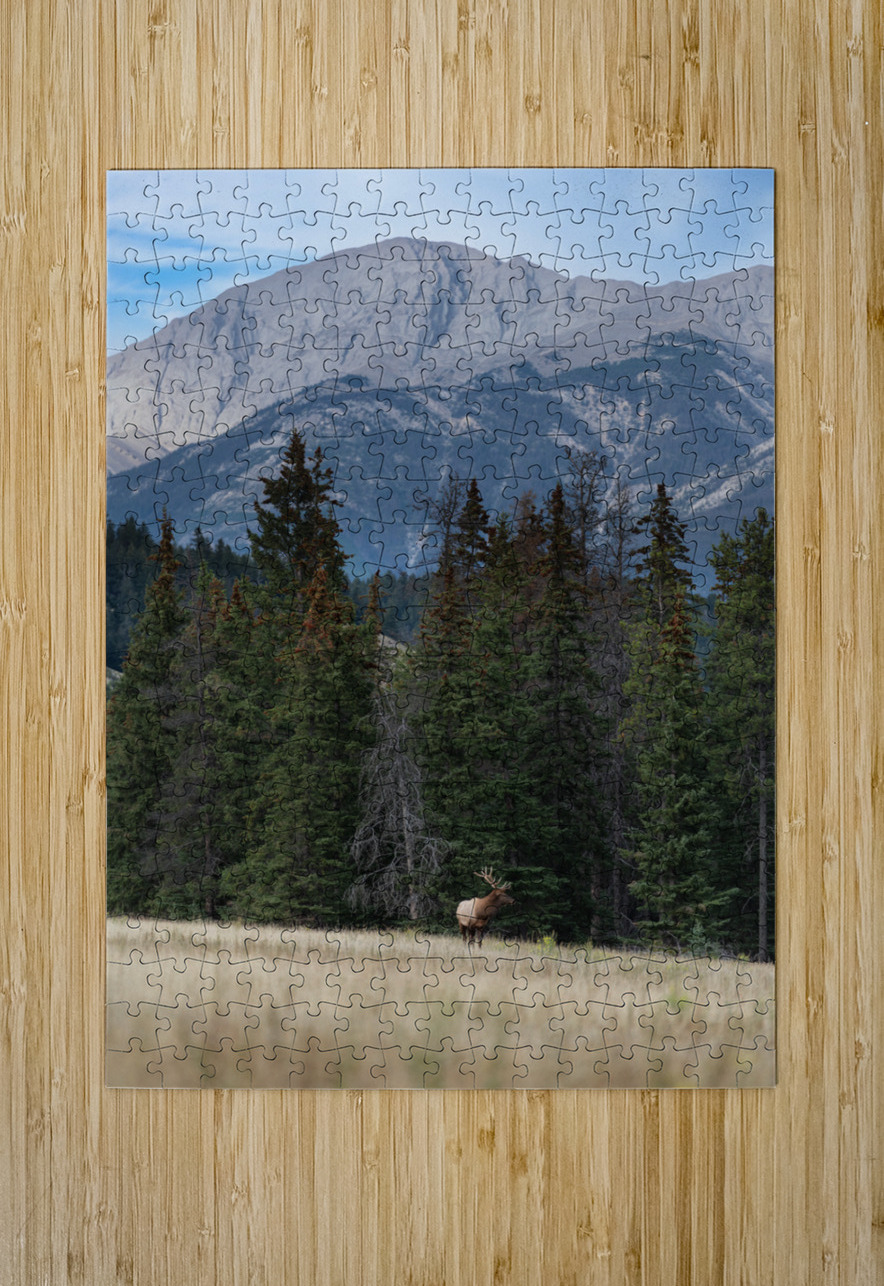 Bull Elk Randy Tremblay Photography Puzzle printing