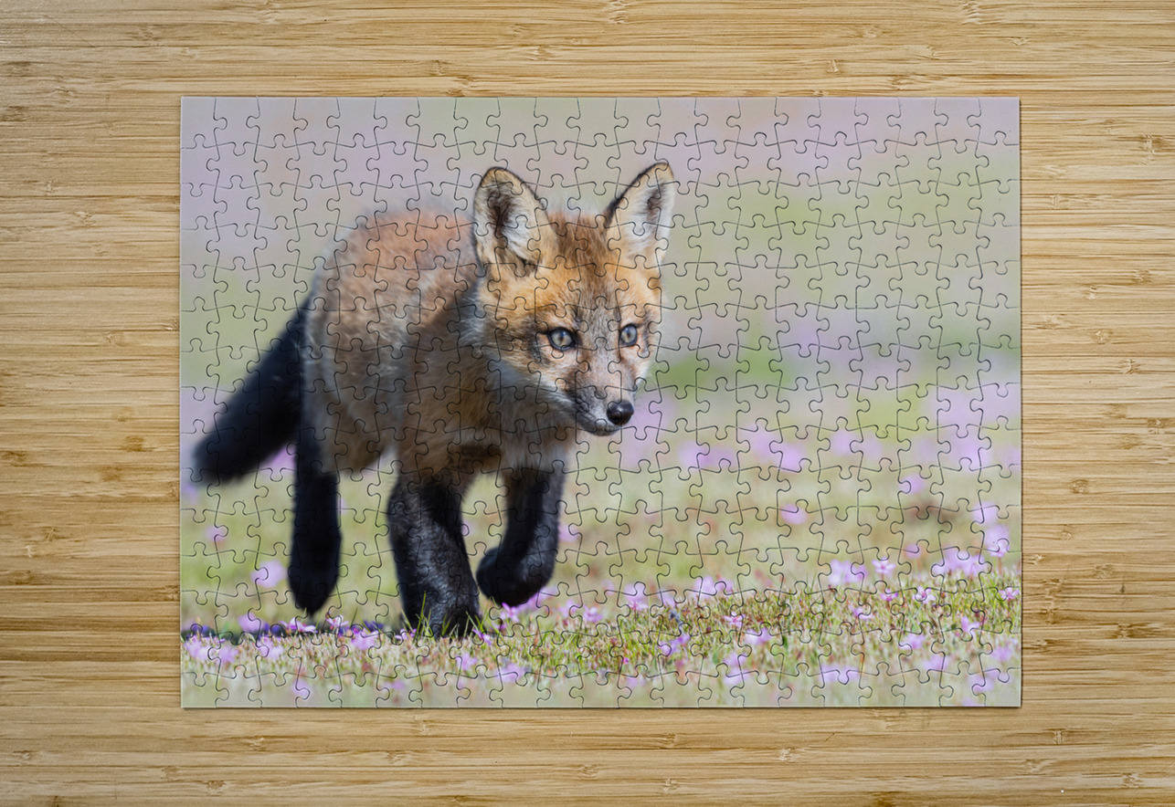 Red Fox Kit Randy Tremblay Photography Puzzle printing