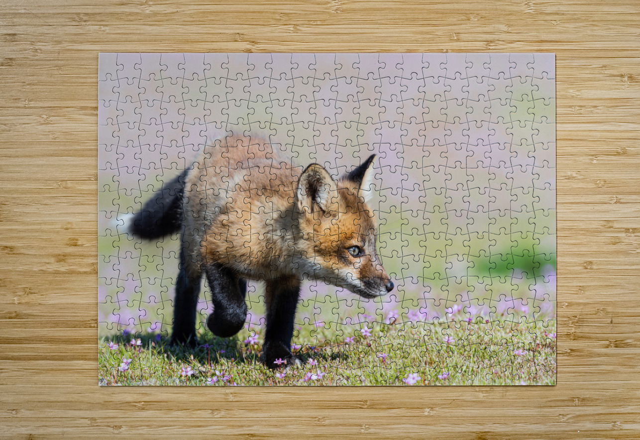 Red Fox Kit Randy Tremblay Photography Puzzle printing