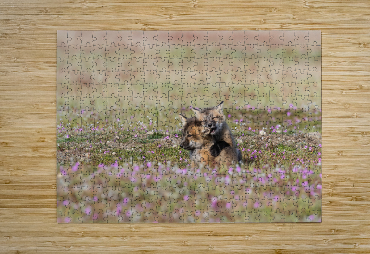 Red Fox Kits Randy Tremblay Photography Puzzle printing