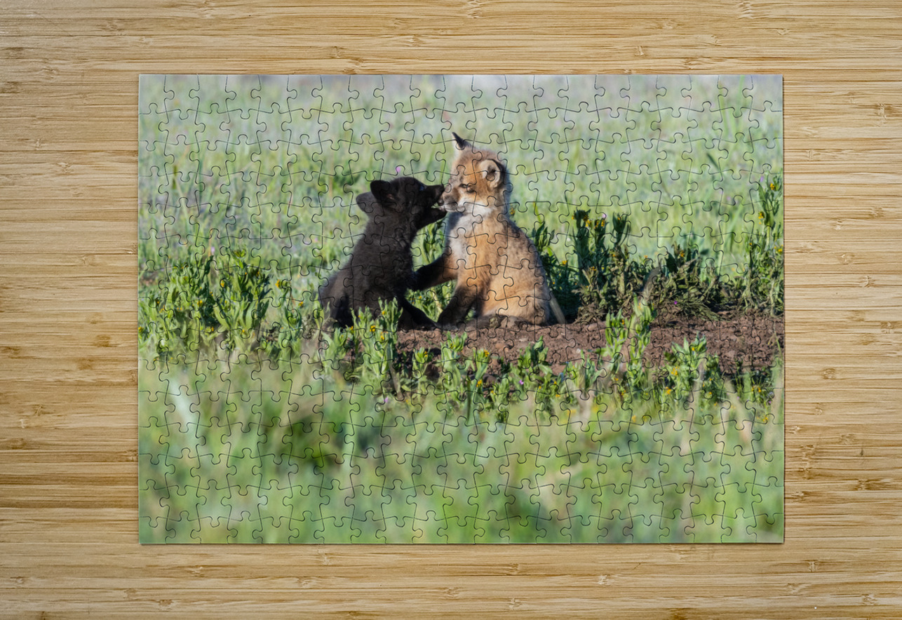 Red Fox Kits Randy Tremblay Photography Puzzle printing