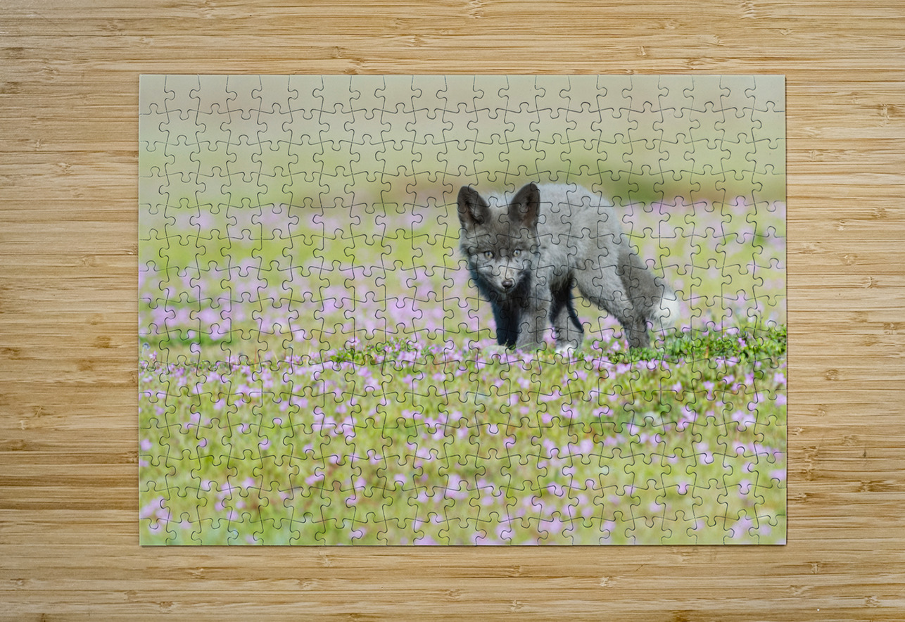Red Fox Kit Randy Tremblay Photography Puzzle printing